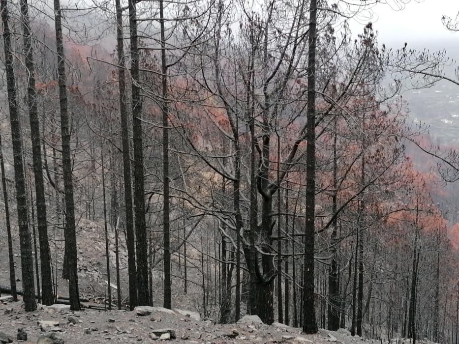 Reabren la carretera de Tamadaba