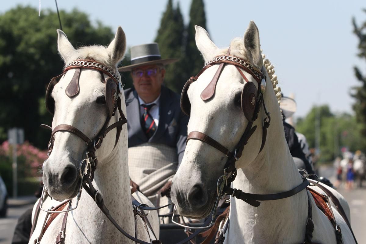 Exhibición de enganches en El Arenal