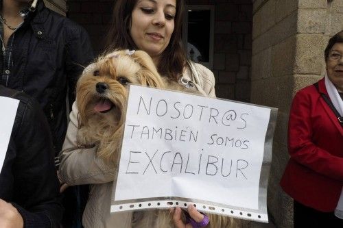 Madrid, Barcelona, Valencia y Lugo, entre otras ciudades españolas, han acogido concentraciones en apoyo a la auxiliar y en recuerdo a su perro sacrificado.