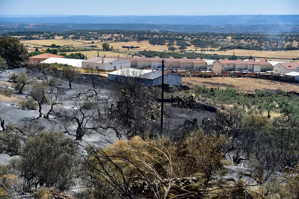 Fotogalería | Así ha quedado la zona de Casas de Millán tras el paso del incendio
