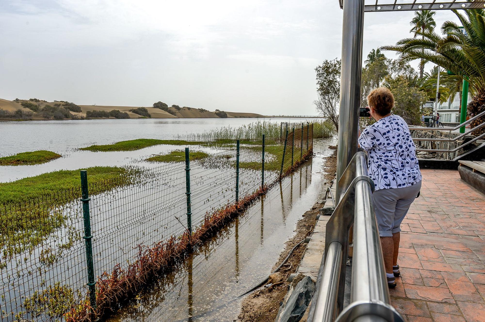 La Charca de Maspalomas después del ciclón Hermine