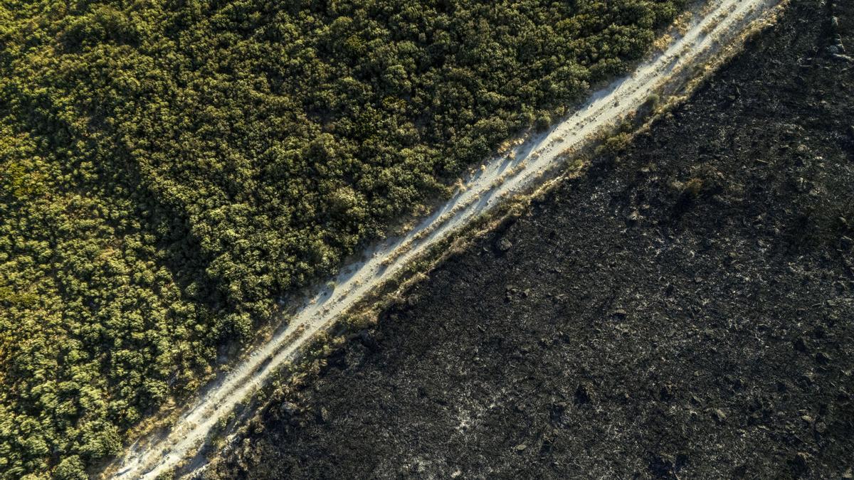 Situación de los incendios forestales en Galicia este jueves 28 de agosto