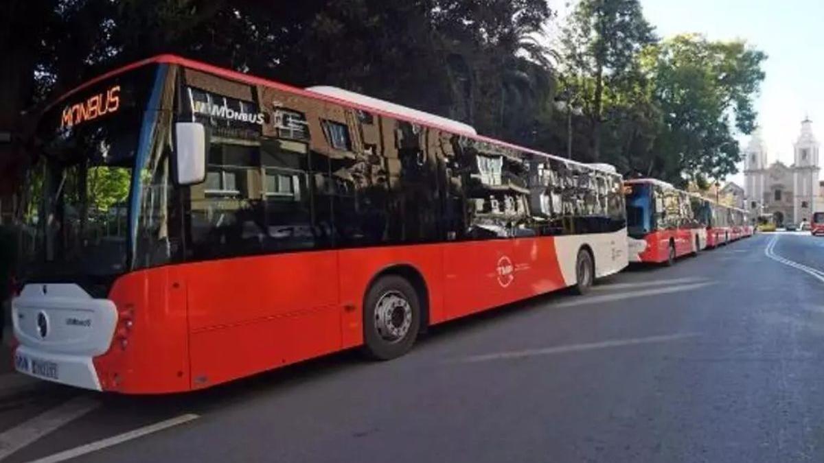 Buenas noticias para Murcia en el Entierro de la Sardina autobús nocturno gratuito y cambios en el transporte público