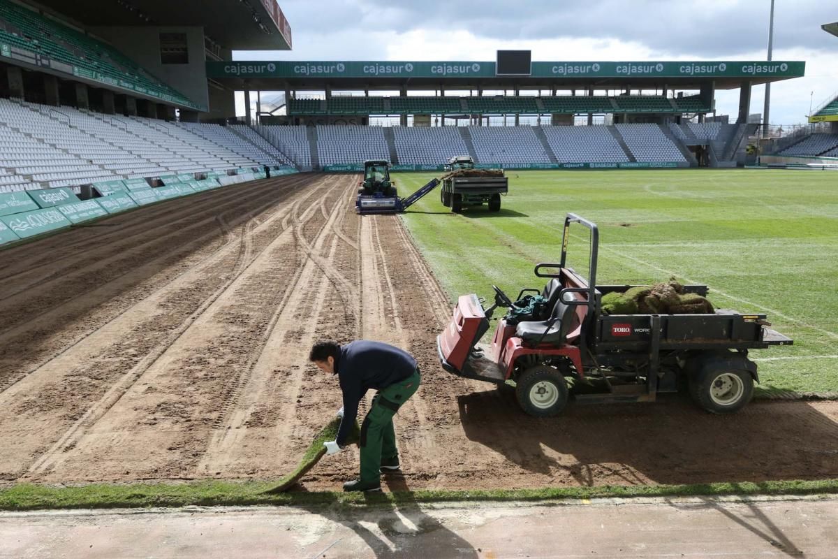 Comienzan los trabajos para cambiar el cesped de El Arcángel