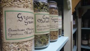 Les plantes medicinals al servei de la salut