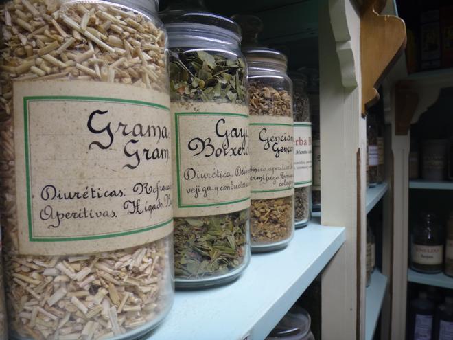 Les plantes medicinals al servei de la salut