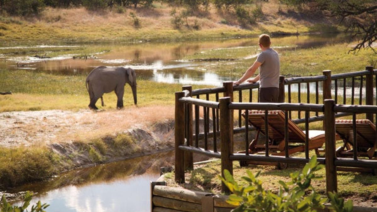 Este verano de safari en Botswana