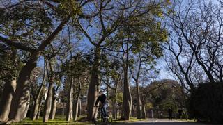 Los vecinos le ponen un 6,5 a la gestión de los jardines de València