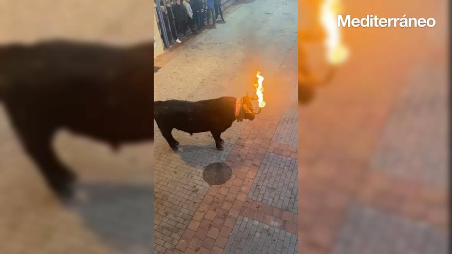 Las imágenes del homenaje taurino en Olocau