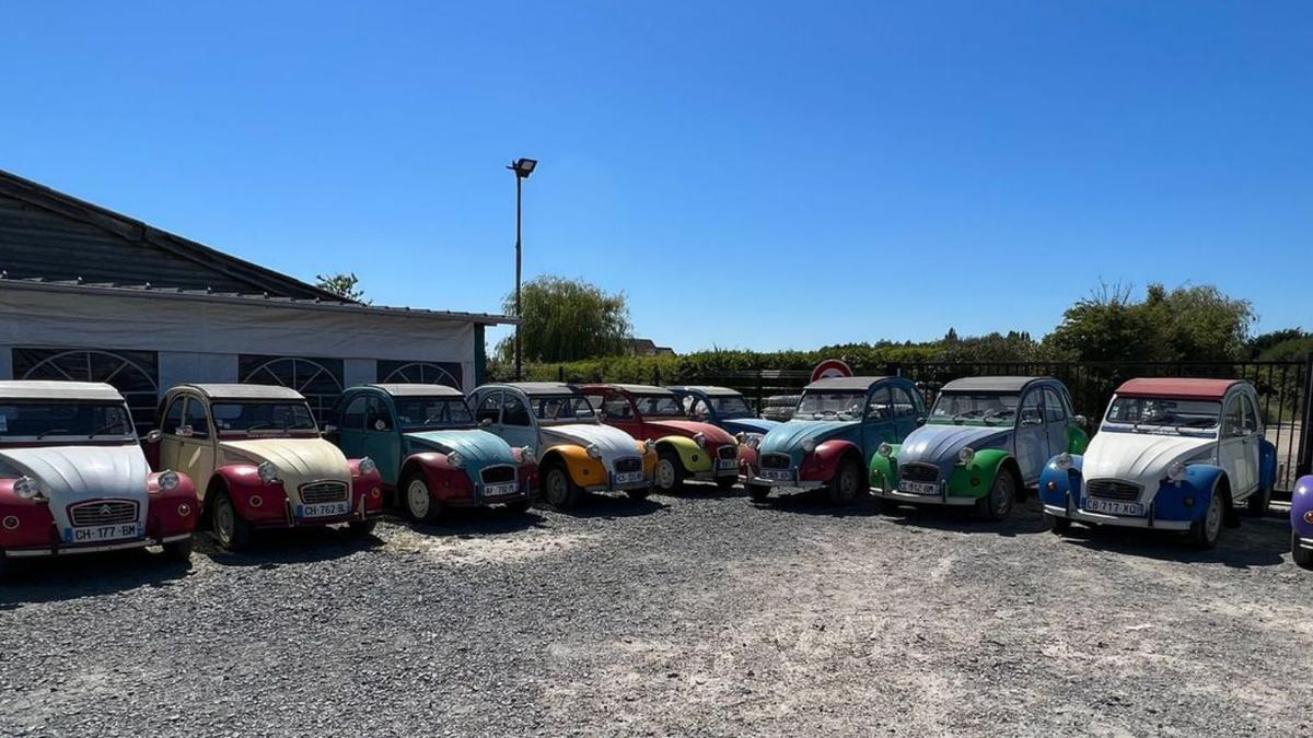 Los coches clásicos 2CV expuestos en San Vitero. | Cedidas