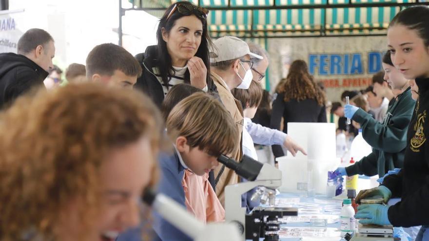 La 20 edición del Paseo de la Ciencia, en imágenes