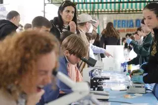 La 20 edición del Paseo de la Ciencia, en imágenes