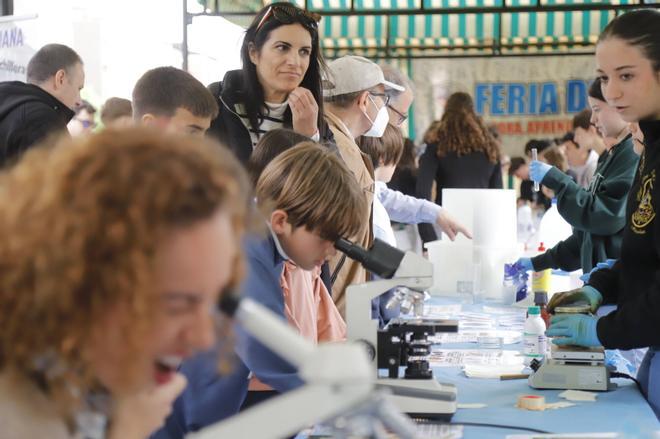 La 20 edición del Paseo de la Ciencia, en imágenes