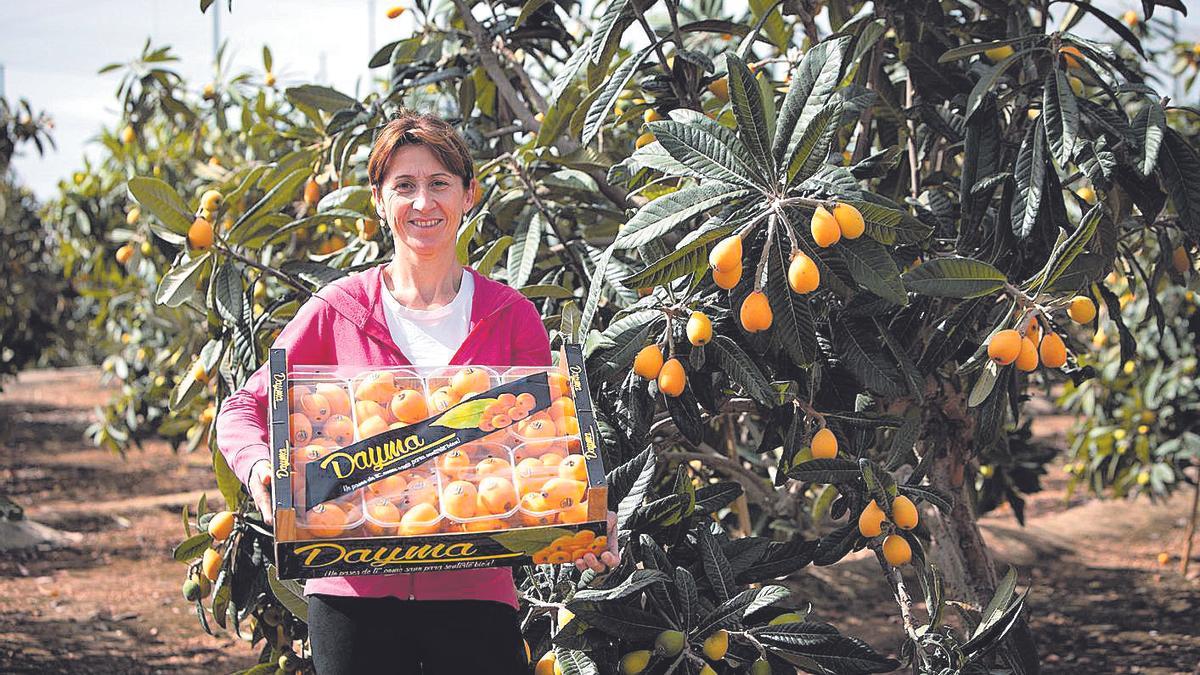 La agricultora saguntina Estrella Martínez, con los nísperos de la nueva variedad.