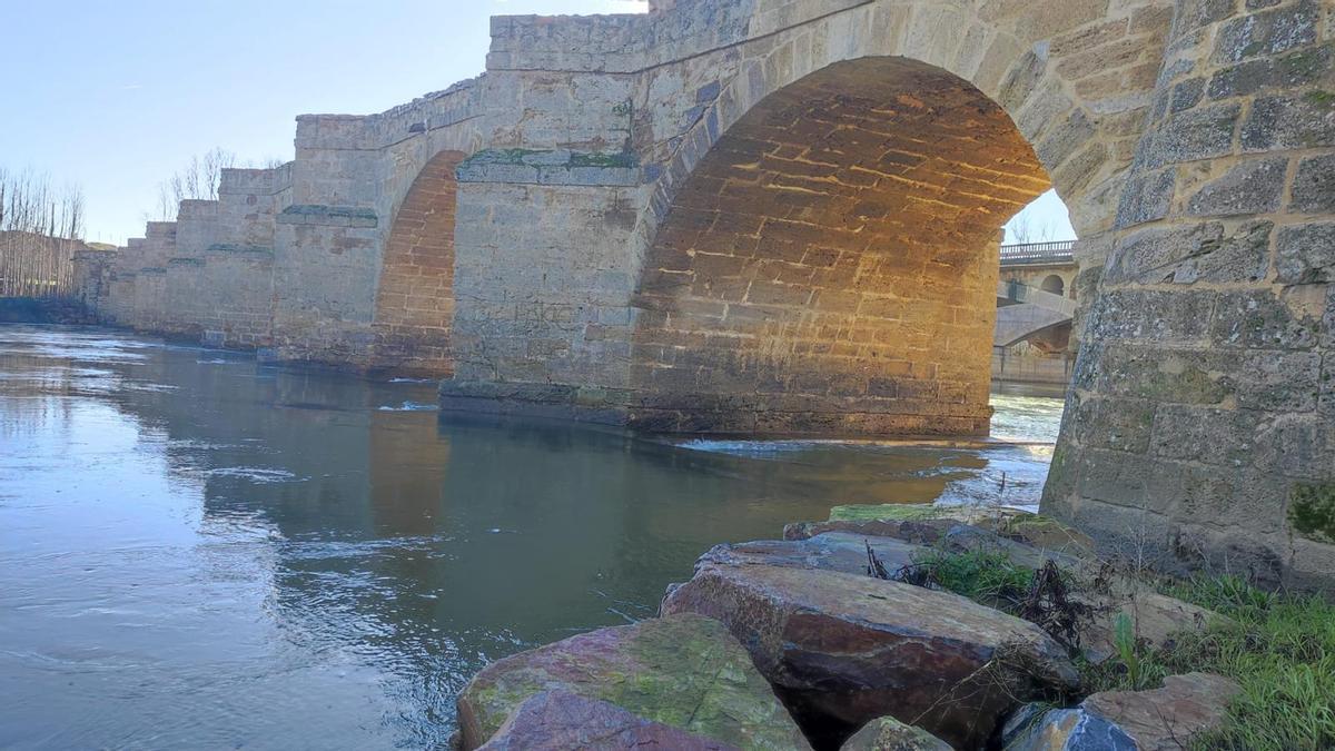 Imagen de hoy del puente sobre el río Esla, en Castrogonzalo, tras la limpieza realizada.