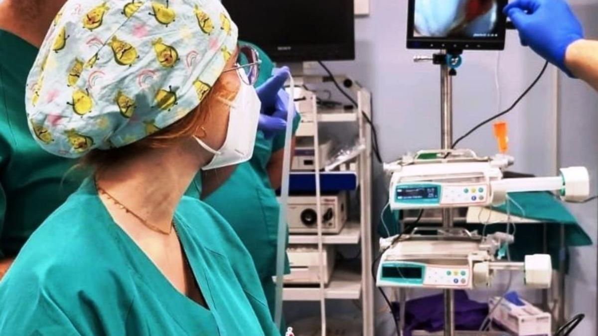 Intervención quirúrgica en un hospital español |   // LA OPINIÓN
