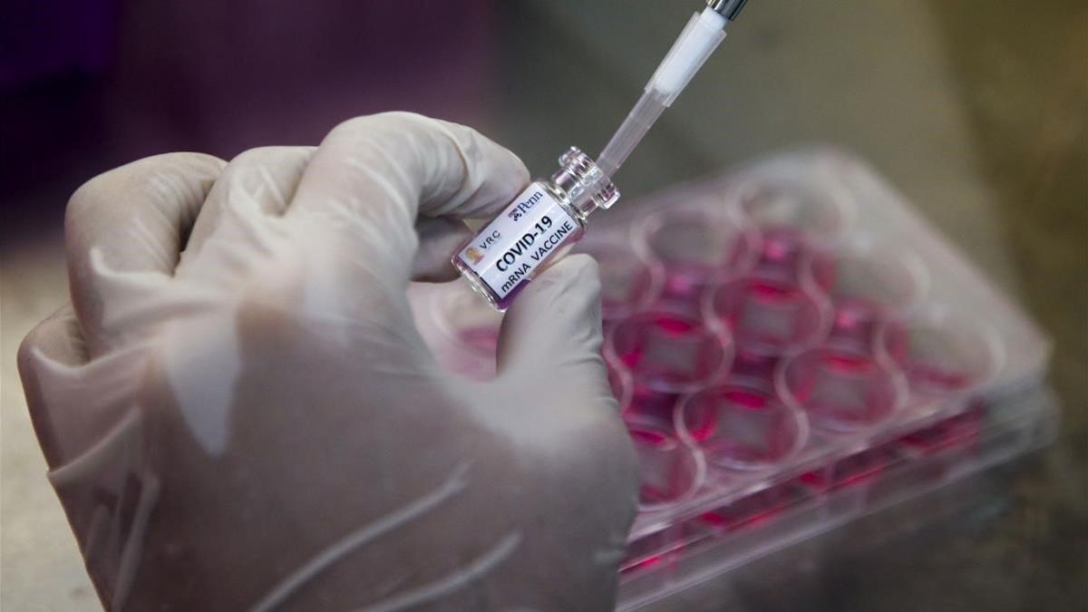 Trabajos en busca de una vacuna para el coronavirus en un laboratorio de Bangkok.