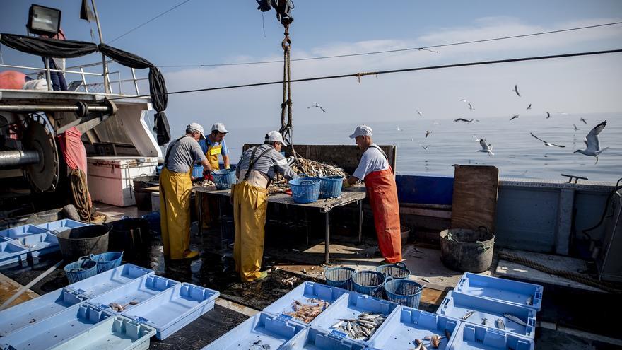 Novecientos pescadores valencianos recuperan más de 75 toneladas de basura del mar