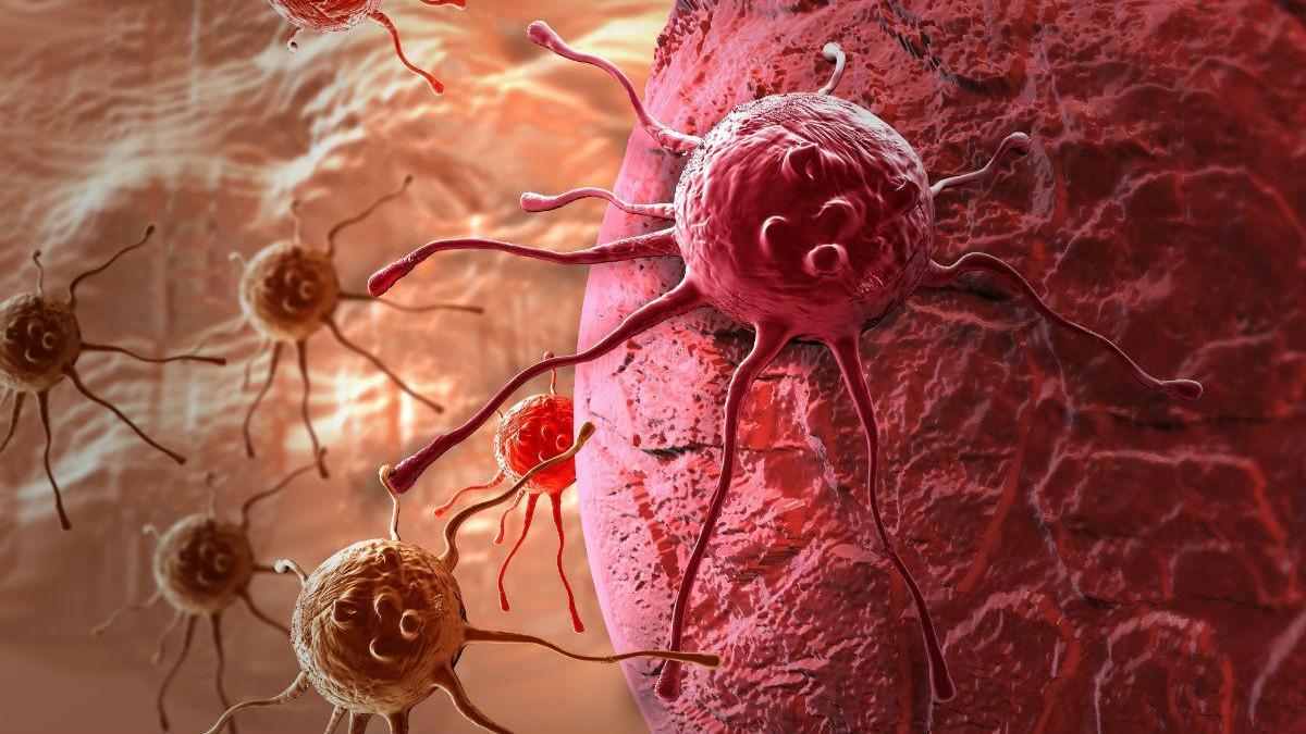 La OMS calcula que 9,8 millones de personas morirán de cáncer este año