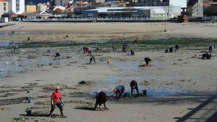 Las mariscadoras de Vilaxoán estuvieron ayer faenando en la playa de O Preguntoiro. // Iñaki Abella