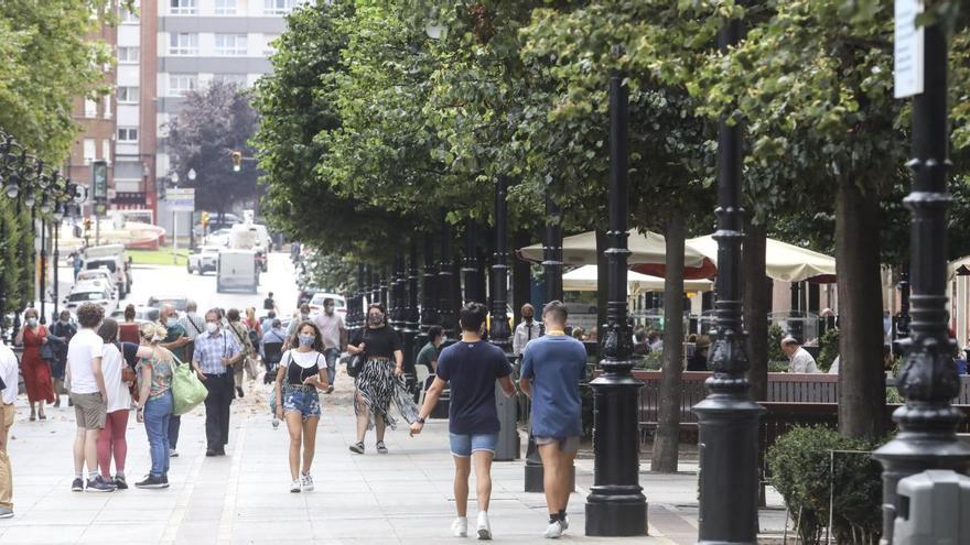 Los tilos del paseo de Begoña