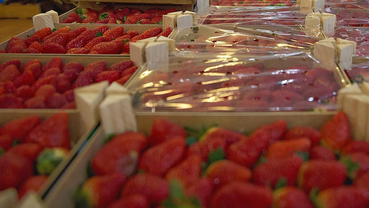 Fresas en un expositor de una frutería.