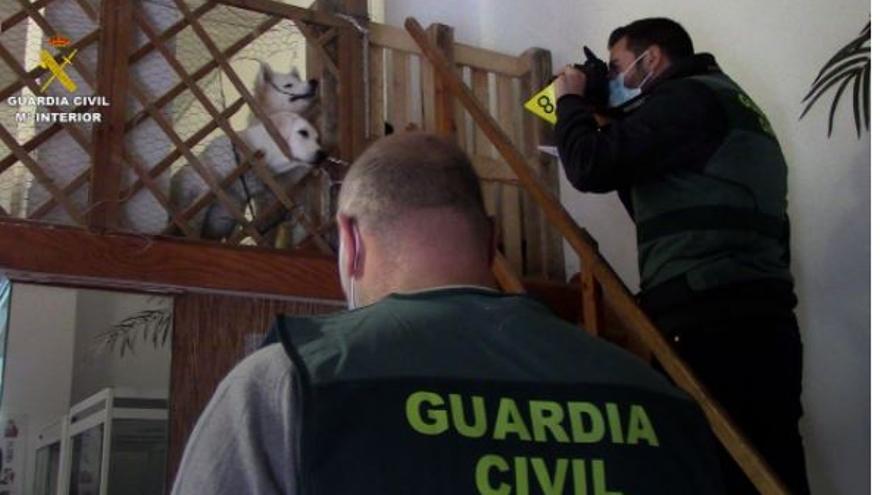 Razzia der Guardia Civil gegen Tierhandlungen.