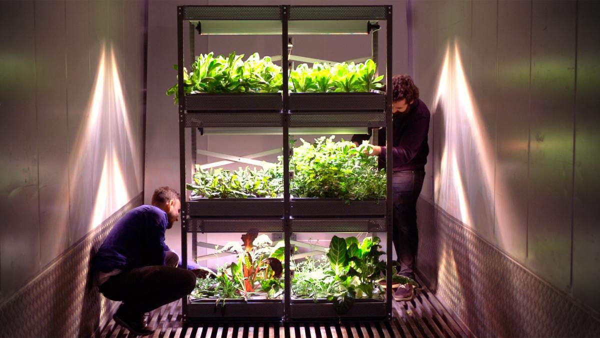 El invernadero vertical de Nextfood, ideado para instalar en las cocinas de los restaurantes.