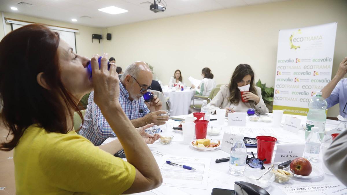 Panel de catadores del certamen Ecotrama, este martes en el Centro Agropecuario de Córdoba.