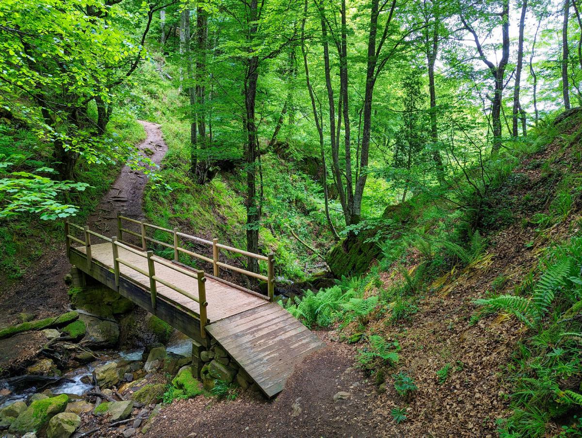 La ruta circular que pasa por uno de los hayedos mejor conservados de Asturias y acaba en una cascada de tres saltos de 100 metros