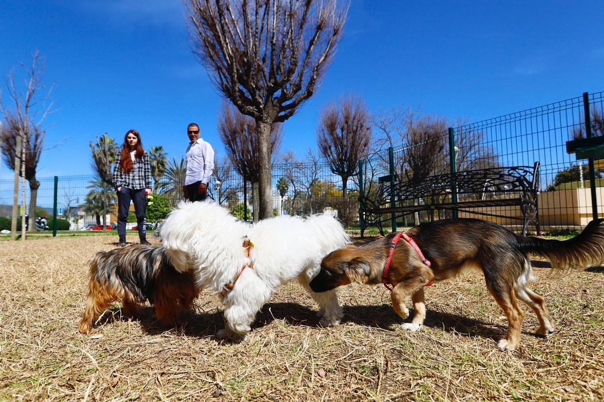 32 parques caninos para casi 15.000 perros censados en Salamanca