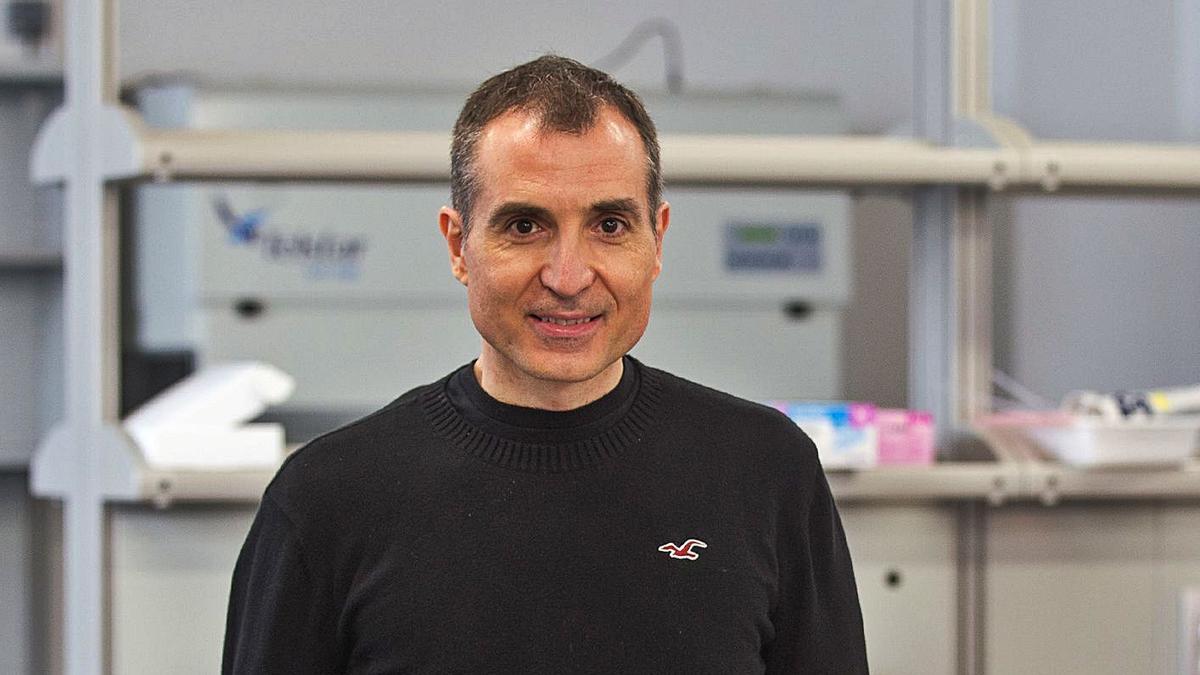 El biólogo sajeño Fernando Maestre dirige un equipo de investigación en la Universidad de Alicante. | ALEX DOMÍNGUEZ