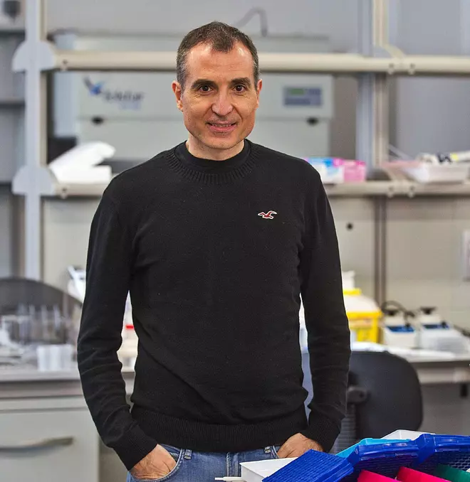 Fernando Maestre Gil: «La mentalidad de muchos jefes debería evolucionar hacia menos jerarquía y más colaboración»