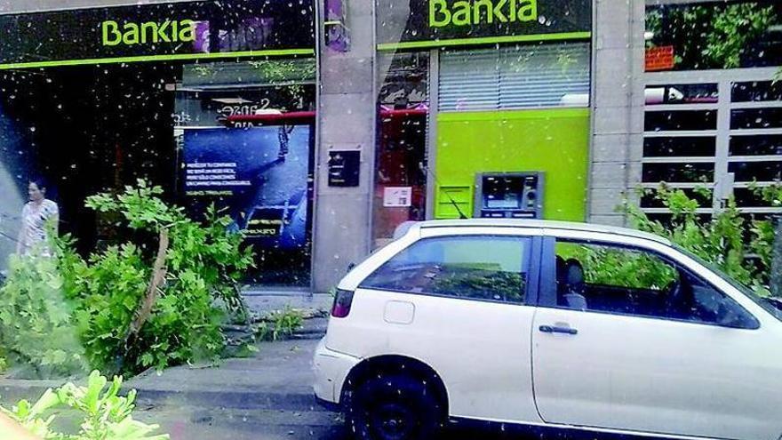 Derriba tres árboles tras sufrir un vahído al volante