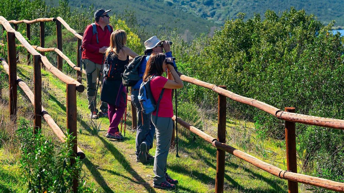 Foto de archivo de observación de aves en la Reserva de la Biosfera Tajo/Tejo Internacional