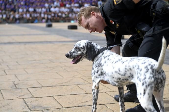 27-09-19 LAS PALMAS DE GRAN CANARIA. . LAS PALMAS DE GRAN CANARIA. Jornada de puertas abiertas de la Policía Nacional en el Parque Juan Pablo II. Fotos: Juan Castro.  | 27/09/2019 | Fotógrafo: Juan Carlos Castro