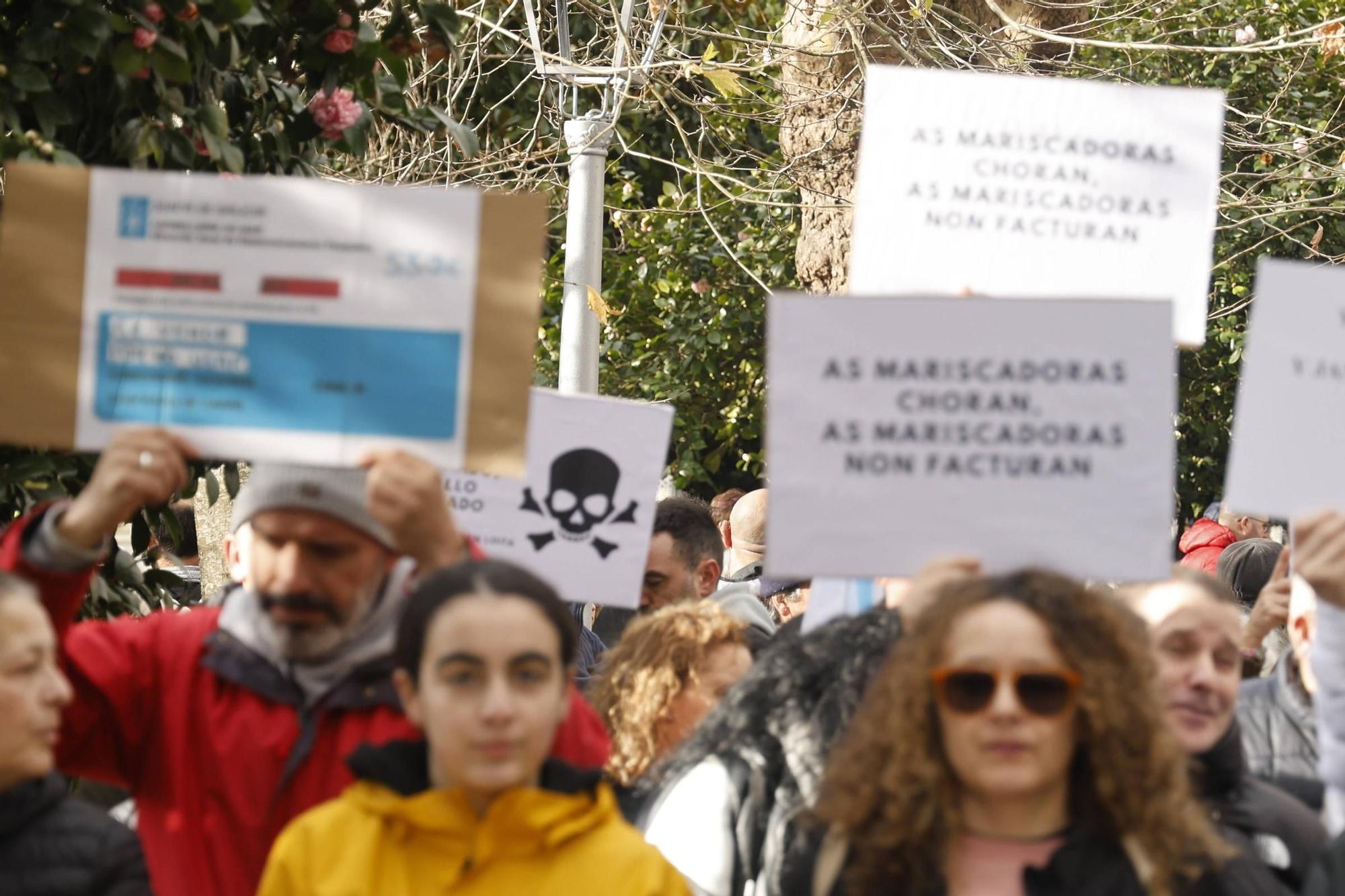 Así se ha desarrollado la manifestación por la crisis de los pélets en Santiago