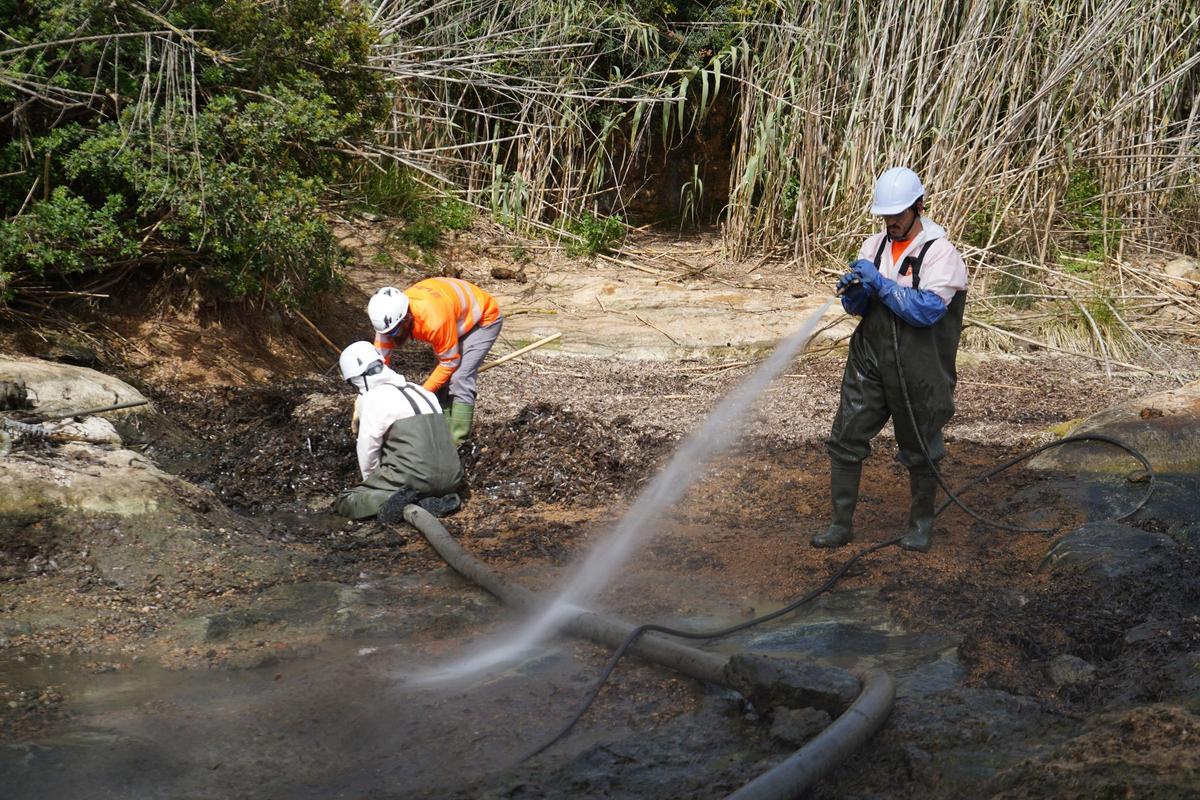Comenzaron los trabajos de limpieza del río y la laguna de sa Font d’en Lluna en Santa Eulária
