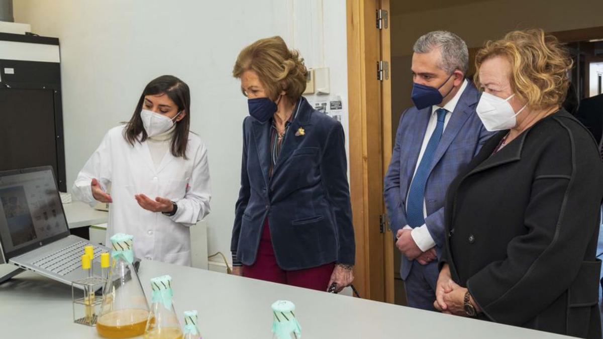 La Reina Doña Sofía, en su visita al Centro de Investigaciones 
Biológicas CIB Margarita Salas.