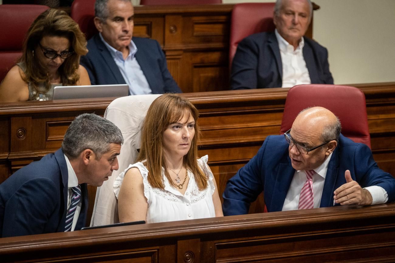 Pleno del Parlamento de Canarias, 08/11/2022