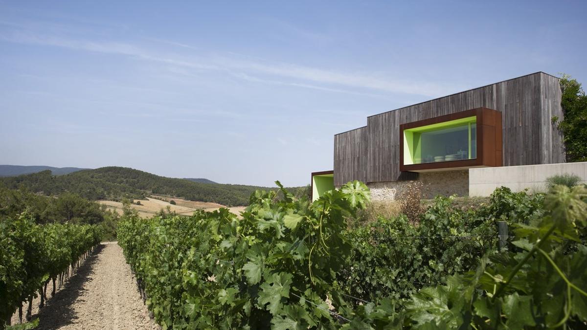 Bodega Mas Rodó