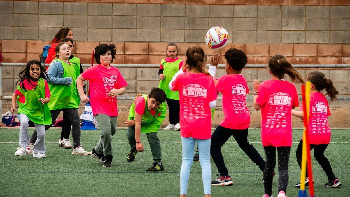 Más de 1.100 centros educativos participarán este viernes en el Dia de l'Esport
