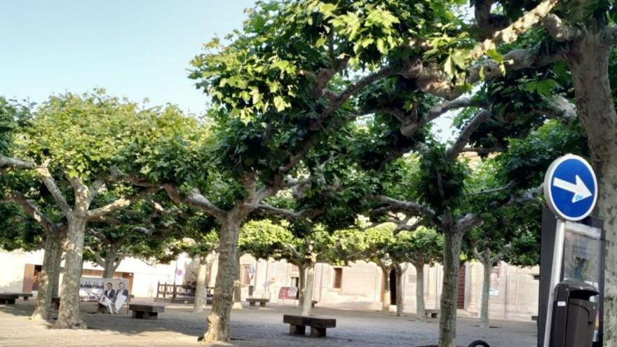 La plaza de Viriato a primera hora de la mañana