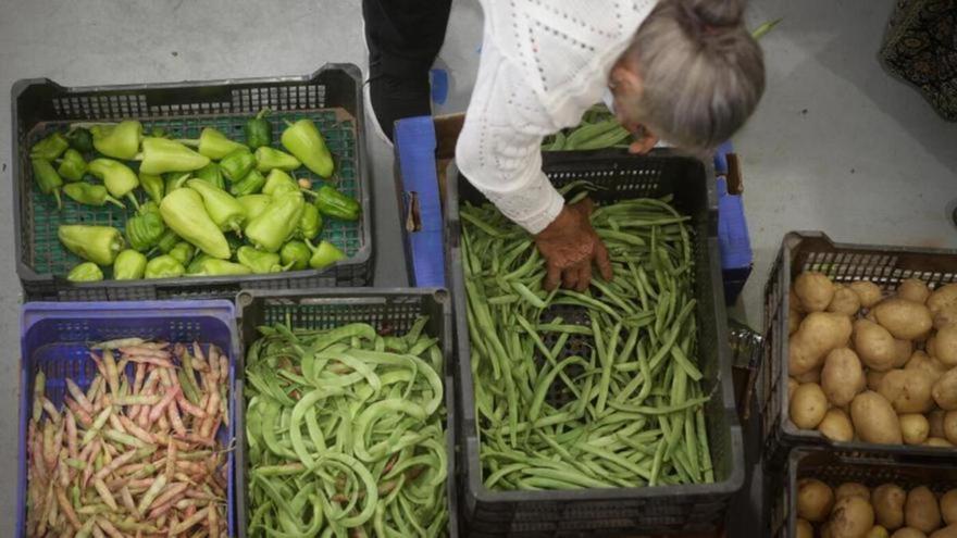 Una persona compra alimentos en un mercado.