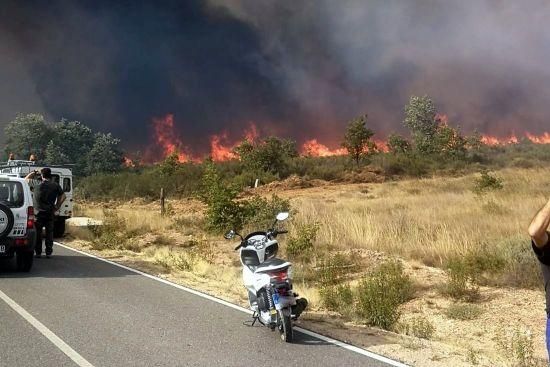 Imágenes del incendio forestal de Grisuela.