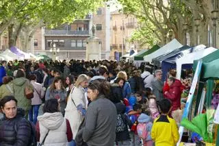 EN IMATGES| Així s'ha viscut el matí de Sant Jordi a la Rambla de Figueres