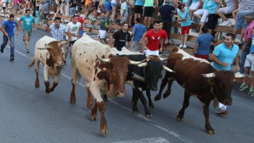 Suelta de Reses Bravas en las Fiestas de Moratalla