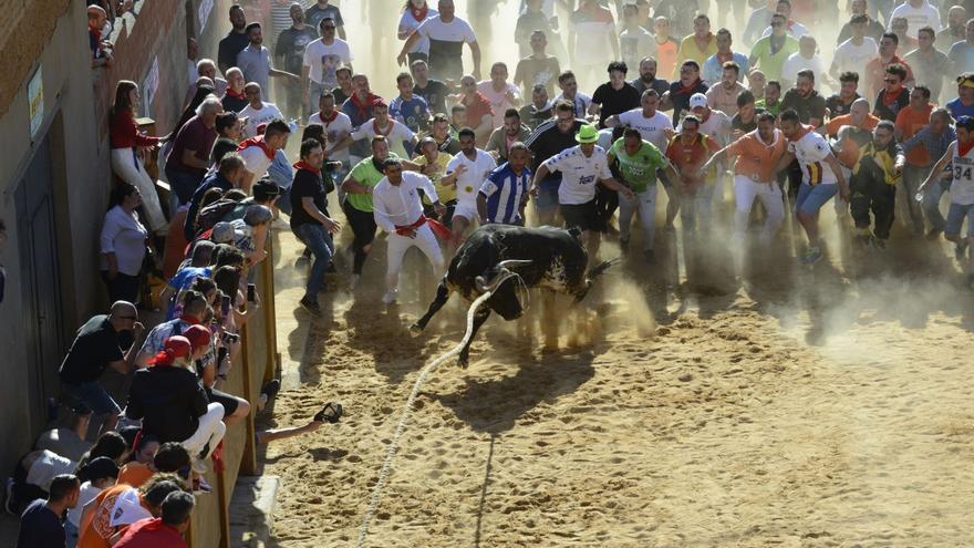 Apacible, un torito &quot;de autor&quot; que cumple con Benavente