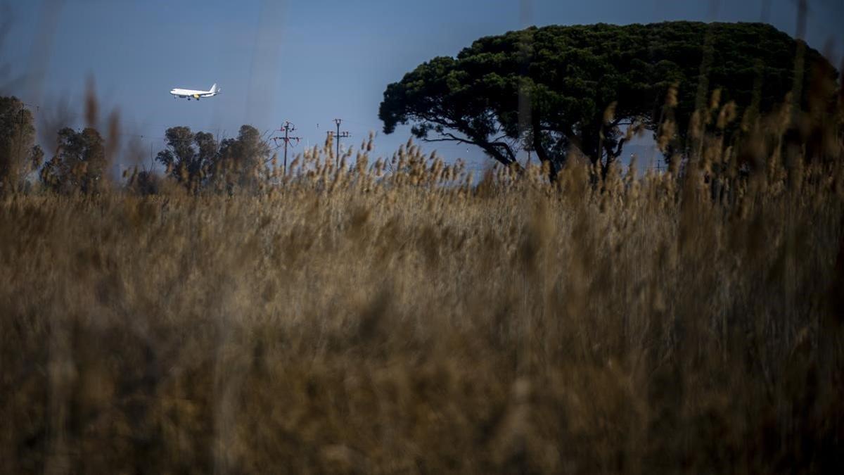 La Ricarda, junto al aeropuerto de El Prat.