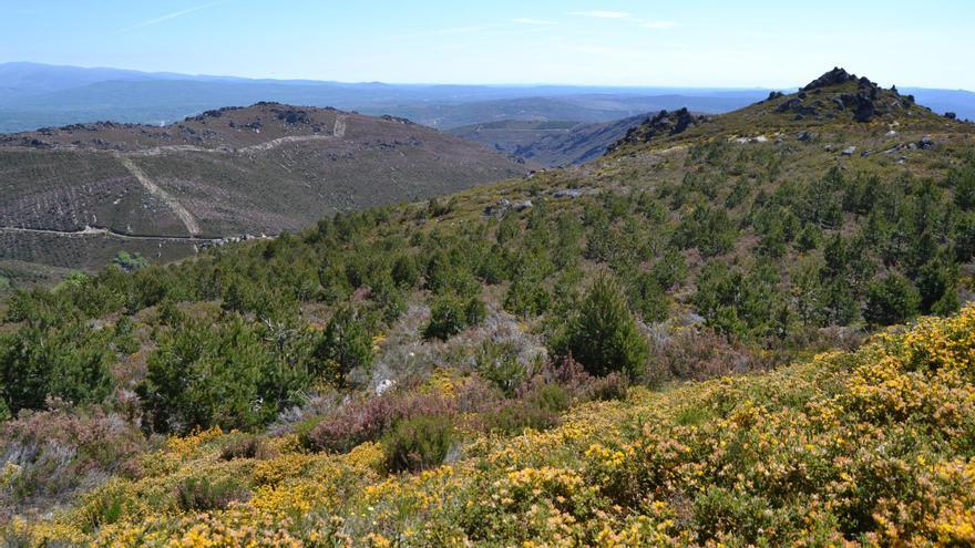 Anulado un parque eólico porque  Alta Sanabria (Zamora) está saturada